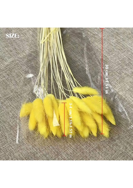30 Adet Tavşan Kuyruğu Çimi Doğal Kurutulmuş Çiçekler Sarı (Yurt Dışından) modelleri