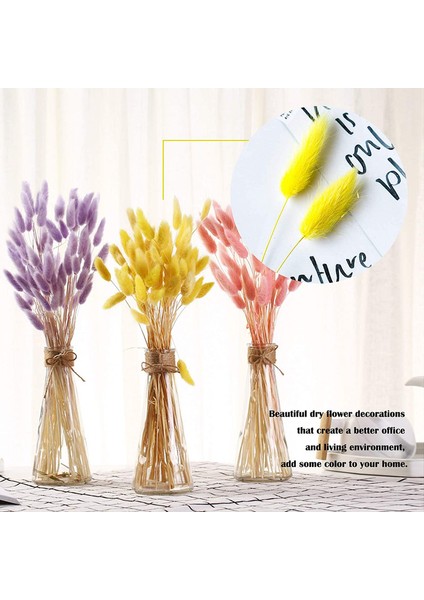 30 Adet Tavşan Kuyruğu Çimi Doğal Kurutulmuş Çiçekler Sarı (Yurt Dışından) indirimleri