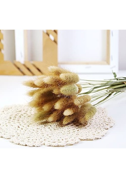 60 Adet Doğal Kurutulmuş Çiçek Kurutulmuş Tavşan Kuyruğu Otu Ana Renk (Yurt Dışından) modelleri