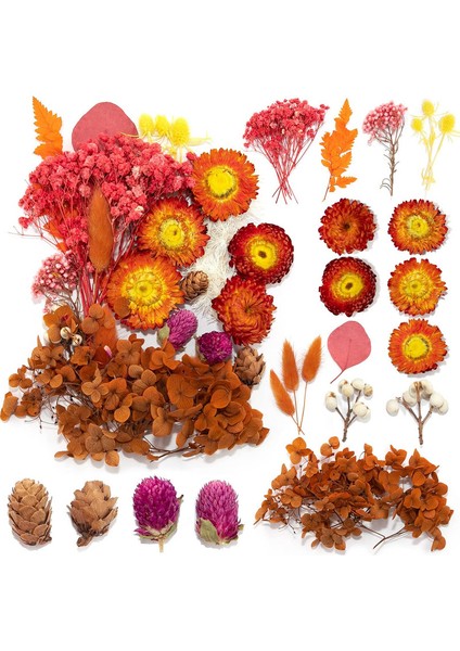 Doğal Kurutulmuş Çiçek Seti Sonbahar Renkleri (Yurt Dışından)