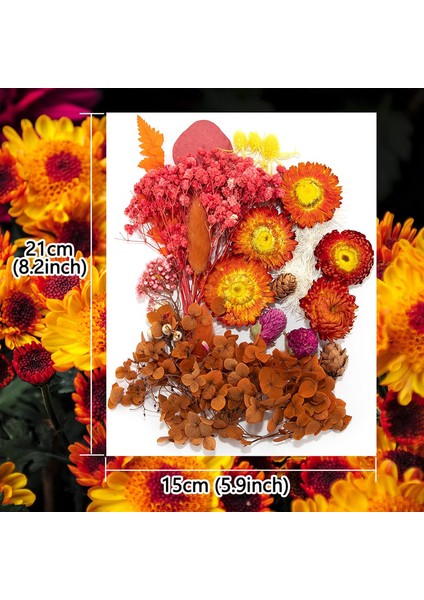 Doğal Kurutulmuş Çiçek Seti Sonbahar Renkleri (Yurt Dışından) indirimleri