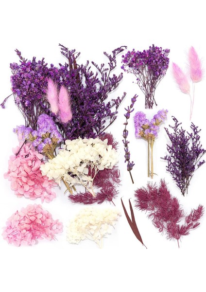 Doğal Kurutulmuş Çiçek Seti Beyaz/mor (Yurt Dışından)