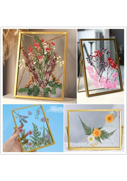 Doğal Kurutulmuş Çiçek Seti Beyaz/mor (Yurt Dışından) fiyatları