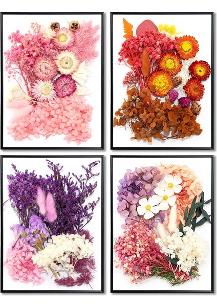 Doğal Kurutulmuş Çiçek Seti Beyaz/mor (Yurt Dışından) indirimleri