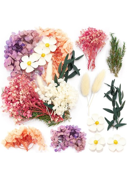 Doğal Kurutulmuş Çiçek Seti Beyaz Gül (Yurt Dışından)