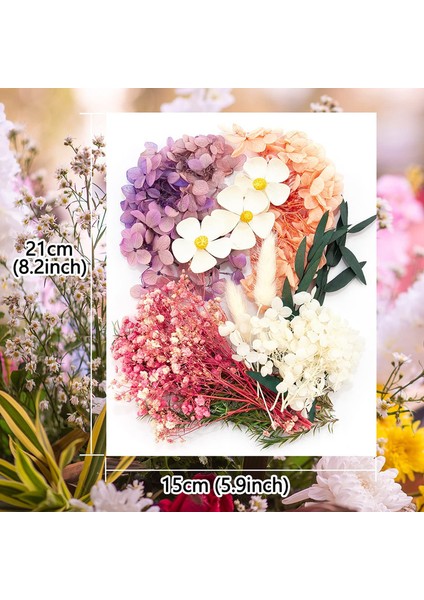 Doğal Kurutulmuş Çiçek Seti Beyaz Gül (Yurt Dışından) indirimleri