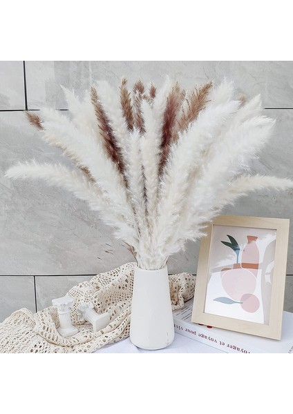 50'li Kurutulmuş Pampas Çimi Seti, Doğal Kurutulmuş Çiçekler（45 Cm） 30 Ana Renk+20 Kremsi Beyaz (Yurt Dışından)