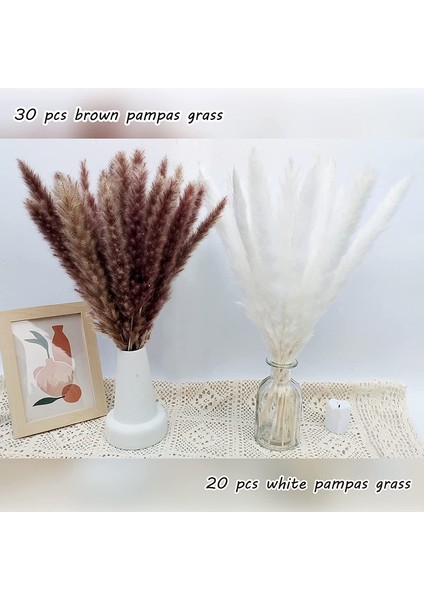 50'li Kurutulmuş Pampas Çimi Seti, Doğal Kurutulmuş Çiçekler（45 Cm） 30 Ana Renk+20 Kremsi Beyaz (Yurt Dışından) fiyatları
