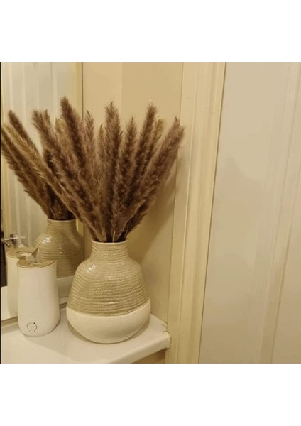 50'li Kurutulmuş Pampas Çimi Seti, Doğal Kurutulmuş Çiçekler（45 Cm） 30 Ana Renk+20 Kremsi Beyaz (Yurt Dışından) fırsatları