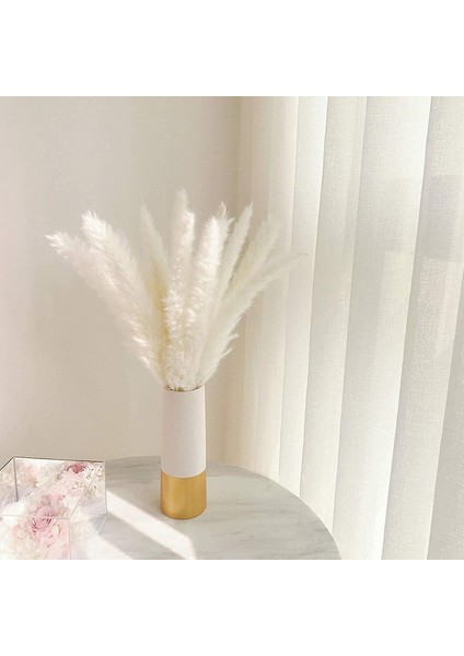 50'li Kurutulmuş Pampas Çimi Seti, Doğal Kurutulmuş Çiçekler（45 Cm） 30 Ana Renk+20 Kremsi Beyaz (Yurt Dışından) indirimleri