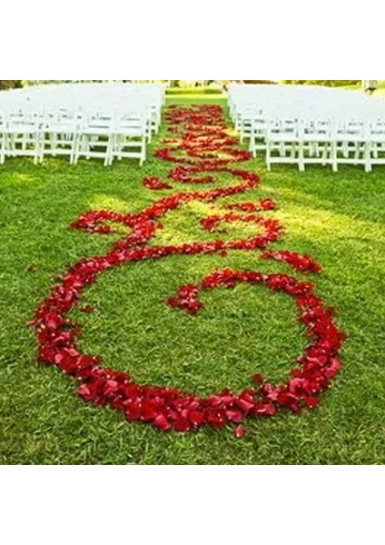 600 Adet Ipek Yapay Gül Yaprağı Kırmızı (Yurt Dışından) fırsatları