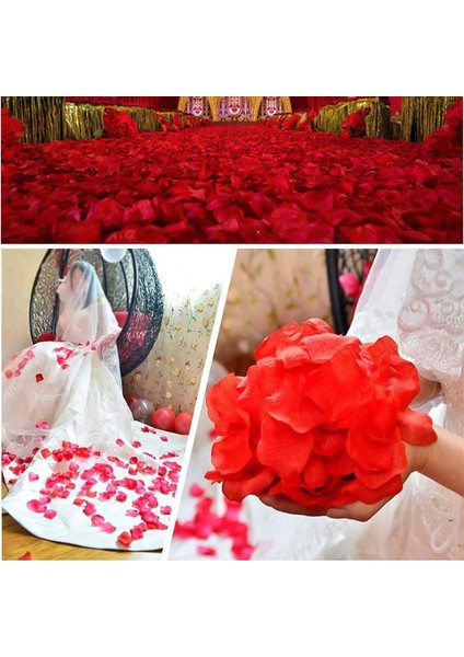 1000 Adet Yapay Gül Yaprakları Büyük Kırmızı (Yurt Dışından) modelleri