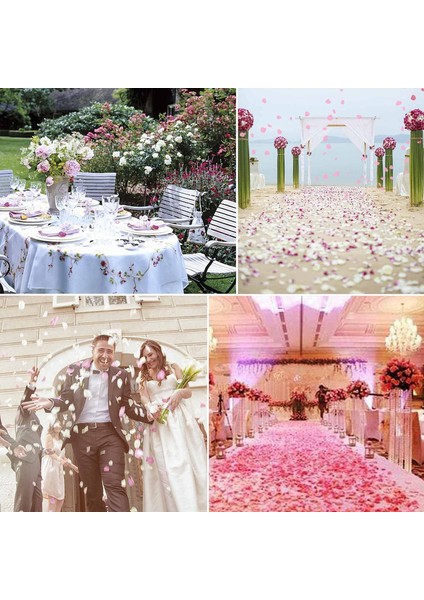 1000 Adet Yapay Gül Yaprakları Açık Pembe (Yurt Dışından) modelleri