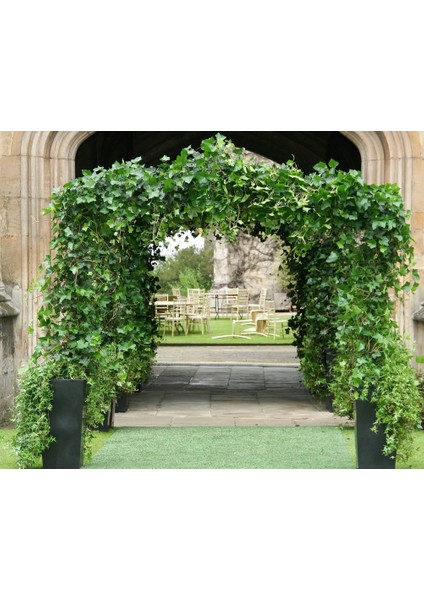 Yapay Yeşillik Yeşil Sarmaşık (Yurt Dışından) fiyatları