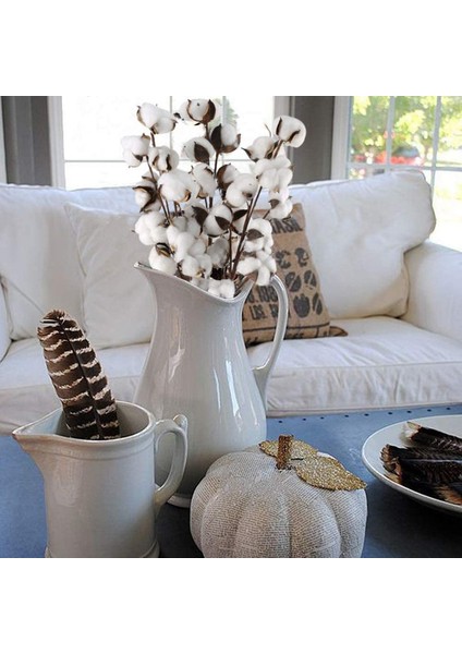 3 Sap 10 Baş Doğal Sahte Bitki Kurutulmuş Pamuk (Yurt Dışından) fiyatları