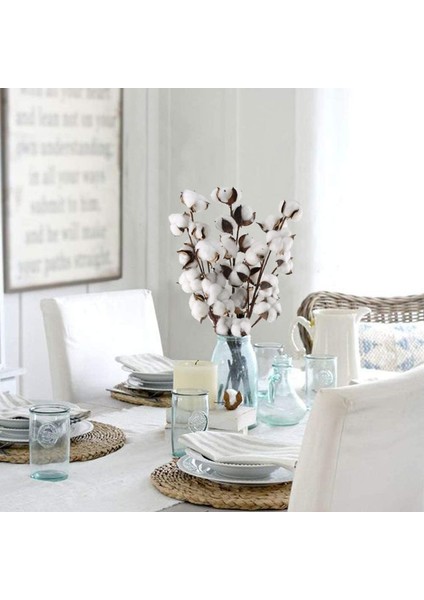 3 Sap 10 Baş Doğal Sahte Bitki Kurutulmuş Pamuk (Yurt Dışından) fırsatları