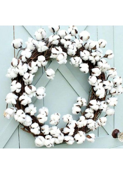 3 Sap 10 Baş Doğal Sahte Bitki Kurutulmuş Pamuk (Yurt Dışından) indirimleri