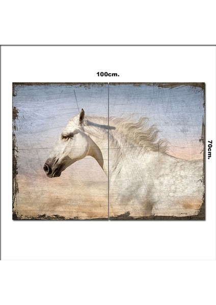 Ahşap Tablo Beyaz At 70*100CM