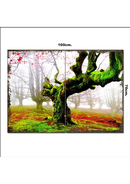 Ahşap Tablo Yosun Örtülü Ağaçlar 70*100CM