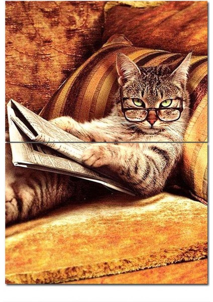 Ahşap Tablo Gezete Okuyan Kedi Mdf Poster