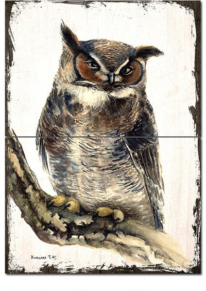 Ahşap Tablo Daldaki Baykuş Art Mdf Poster