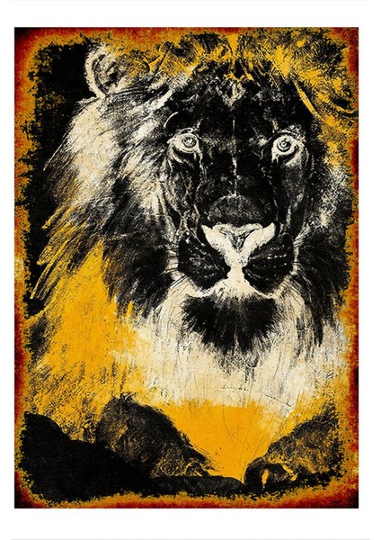 Xray Aslan Model Mdf Tablo