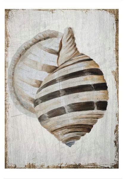 Siyah Beyaz Deniz Kabuğu Mdf Poster