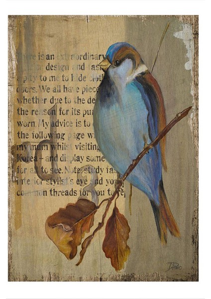 Sevimli Kuş Dekoratif Mdf Tablo