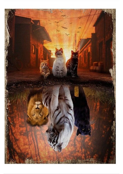 Güçlü Kediler Desenli Ahşap Tablo