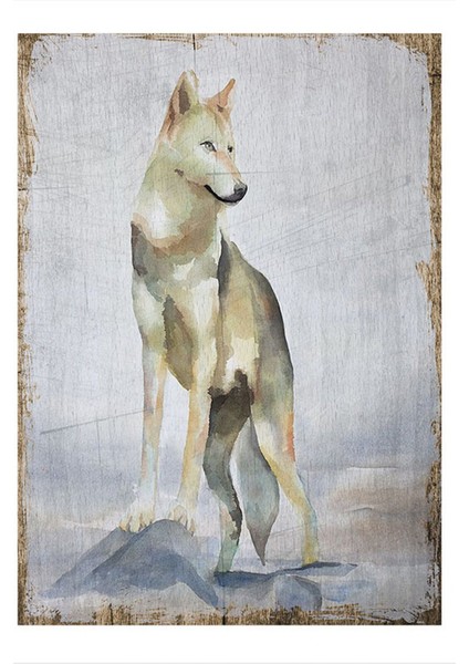 Suluboya Kurt Tasarım Mdf Tablo