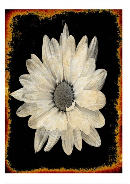 Siyah Beyaz Çiçek Modern Mdf Tablo