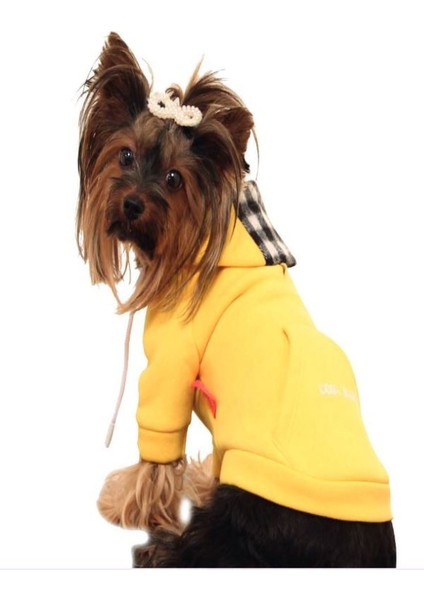 Köpek Erkek Kolej Switshirt