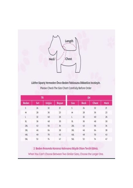 Köpek Erkek Kolej Switshirt