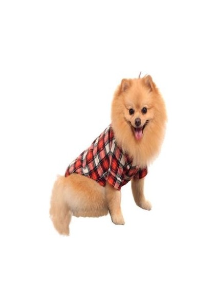 Köpek Kırmızı Oduncu Gömlek