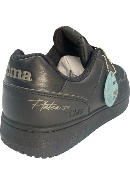 Baskets C.platea 2331 Low CPLAW2331