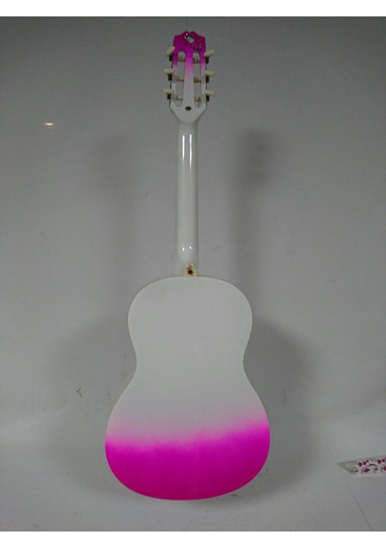 GRC1KPUB Klasik Gitar Gypsy Rose Set