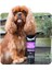Animology True Color Köpek Şampuanı 250 Ml 2