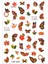 BP Tattoo Autumn Renkli Kelebek Figürleri Nail Sticker - Tırnak Dövme 1