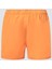 Beach Volley 16'' Erkek Deniz Şortu 2