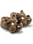 Twi̇gy AA0620 G Tw Canė Uni̇sex Panduf 1