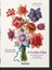 H. Walter Lack - A Garden Eden Masterpieces of Botanical Illustration 1