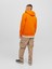 Logolu Kapüşonlu Sweatshirt - Dust 3