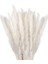 Kurutulmuş Pampas Otu Süsü 30'lu Set, Doğal Kurutulmuş Çiçekler 45 cm Beyaz (Yurt Dışından) 1