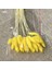 30 Adet Tavşan Kuyruğu Çimi Doğal Kurutulmuş Çiçekler Sarı (Yurt Dışından) 3