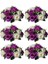 6 Adet Yapay Çiçek, 15 Tabanlı Plastik Gül Başlığı Mor&beyaz (Yurt Dışından) 1