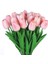 10 Adet Yapay Çiçek Lale Pembe Etli (Yurt Dışından) 1