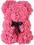 Rose Ayı Hediyesi Şeffaf Bir Hediye Kutusu ile Birlikte Gelir （ROSE,25CM） (Yurt Dışından) 4