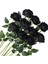 10 Adet Yapay Gül Buketi Siyah Çiçek Açan Güller (Yurt Dışından) 1