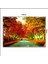 Ahşap Tablo Sonbahar ve Yol 70*100CM 1