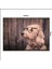 Ahşap Tablo Gözlüklü Köpek Desenli 70*100CM 1